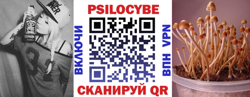 Псилоцибиновые грибы MAGIC MUSHROOMS Черкесск